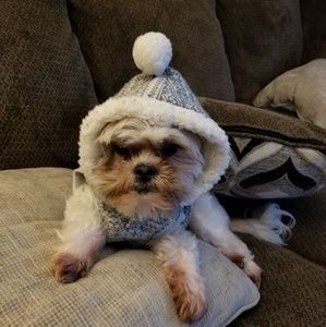 Meet your Posher, Ivy